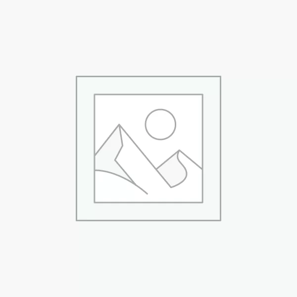 Fuse 600V 750mA – Audio Research / Conrad Johnson type